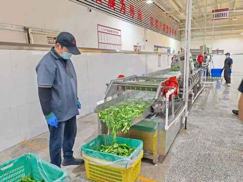 吃出生產(chǎn)力 揭秘超級(jí)工廠的餐飲管理智慧